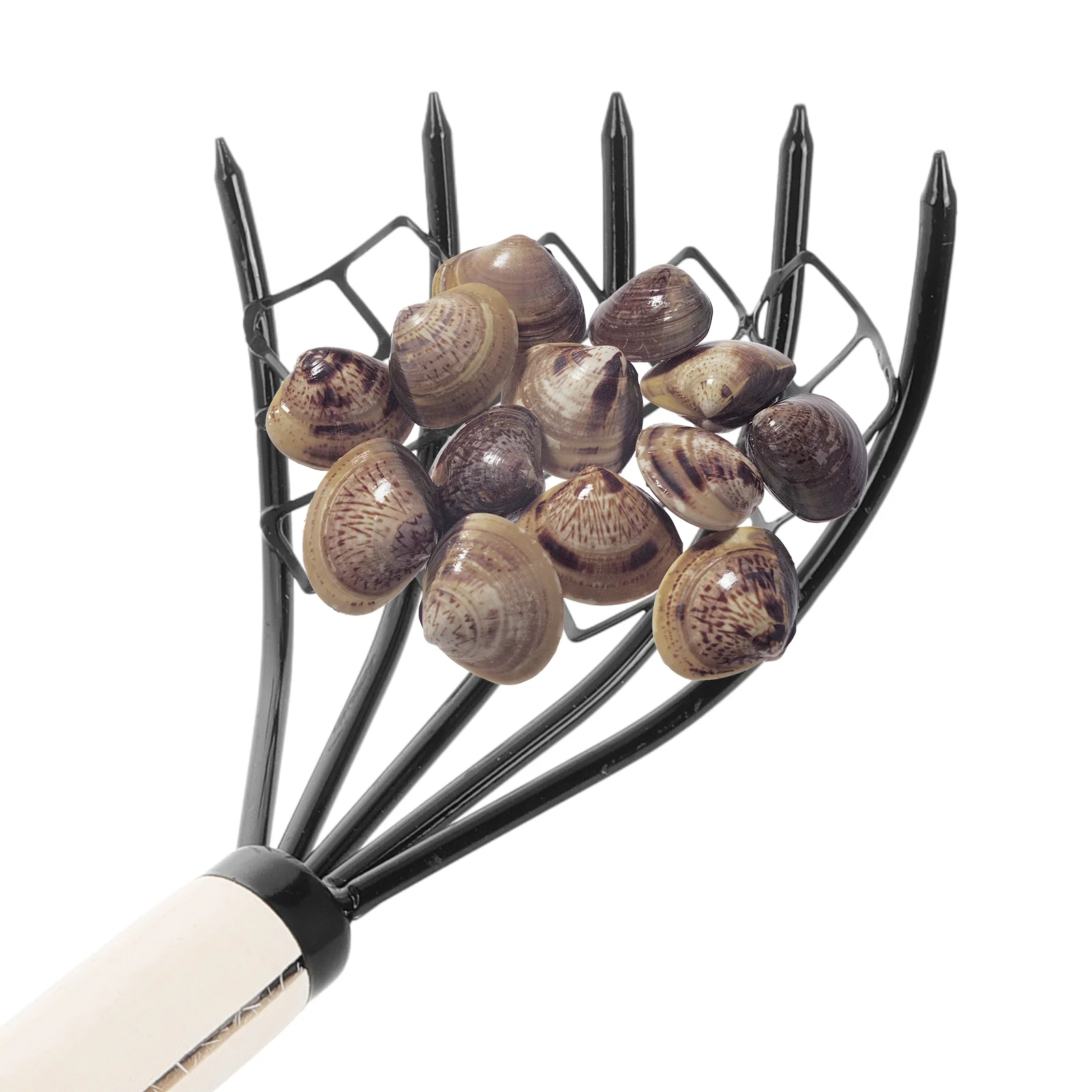2 pezzi rastrello per vongole pratico accessori da spiaggia portatile per scavo di frutti di mare in metallo rastrelli in legno strumento di conchiglia