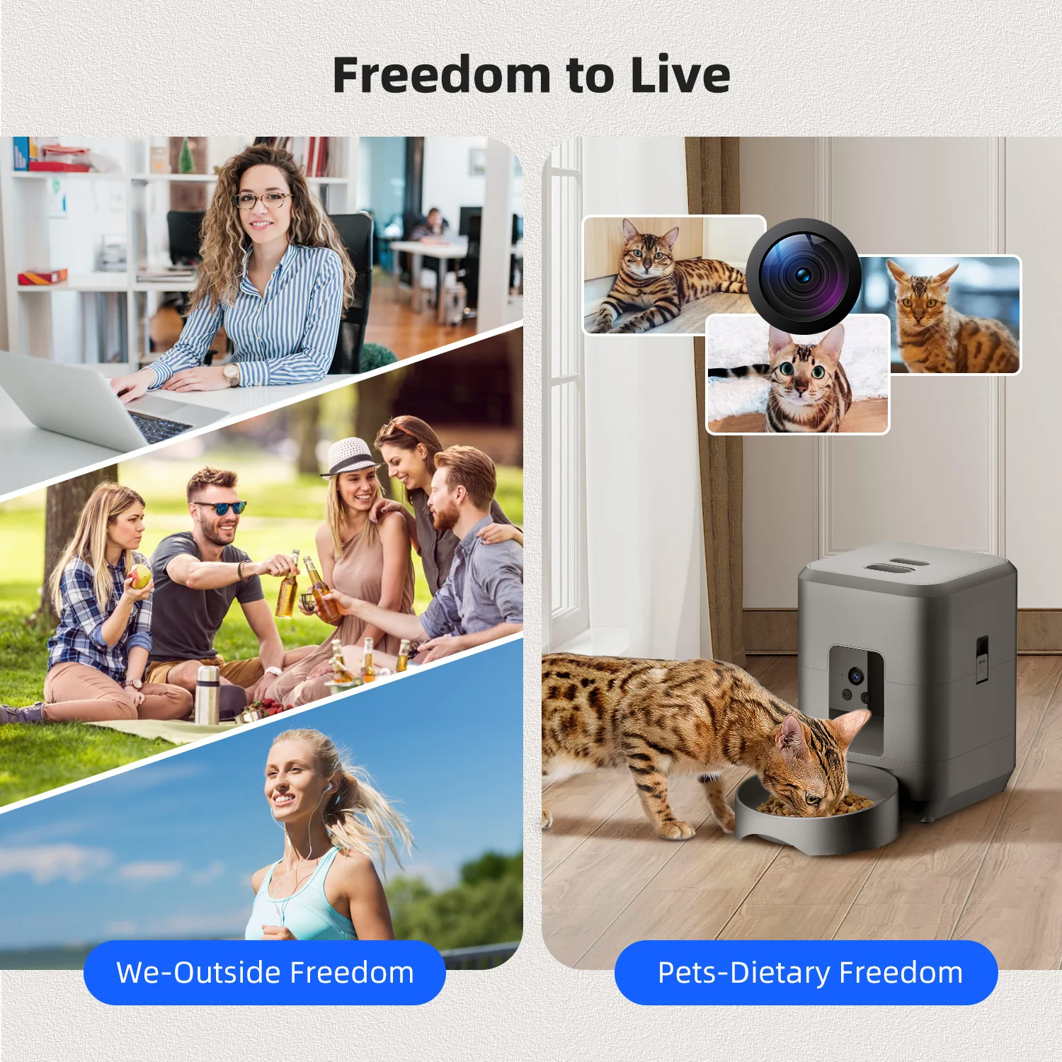 Comedero automático para gatos - Baby Food Cat reseña y precio