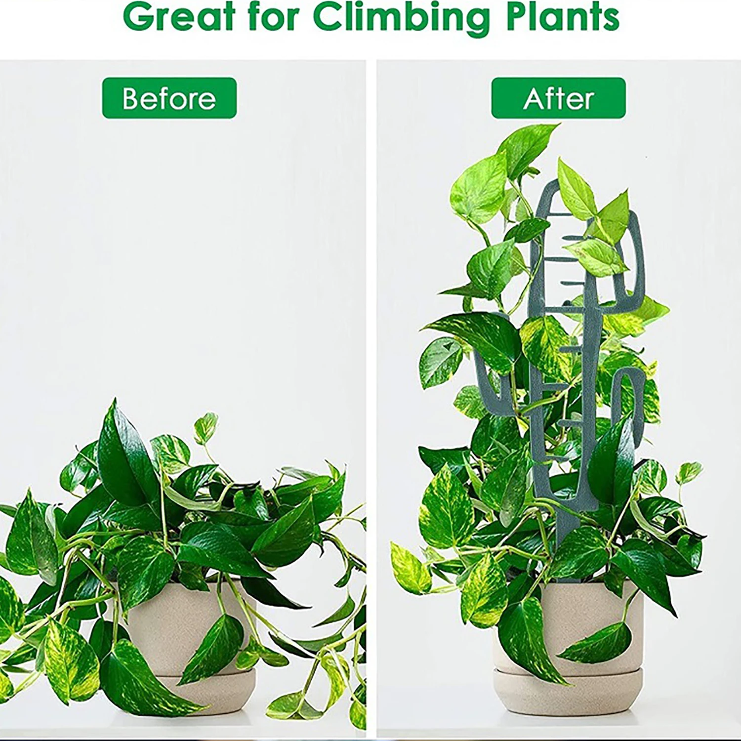 Plant Climbing Support Stand F - đánh giá và giá Bonsai Garden Stand