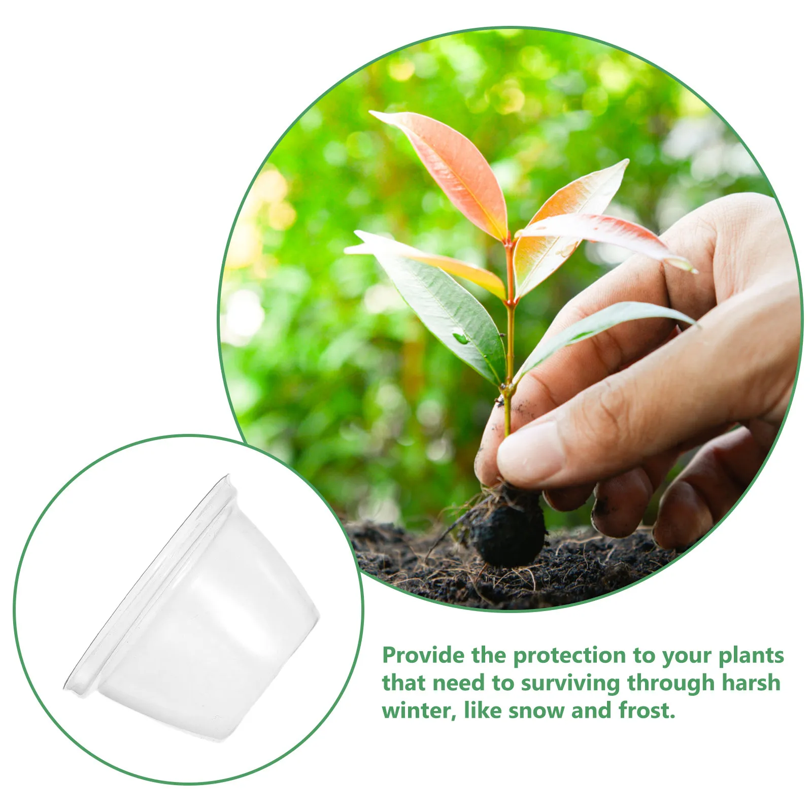 50Pcs Hydroponic Pod Domes Transparent Dome Lids for Seed Germination Hydroponic Cups Grow Basket Plant Starter Dome Caps