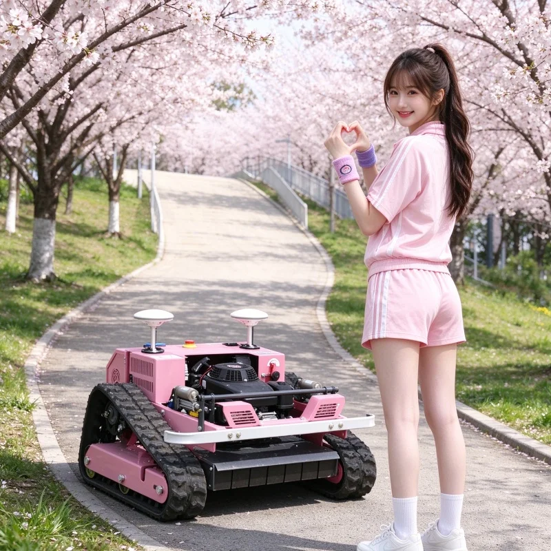 Maßgefertigter RC-Rasenmäher mit CE EPA 550mm Roboter-Rasenmäher für die Landwirtschaft