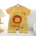 Yellow Lion
