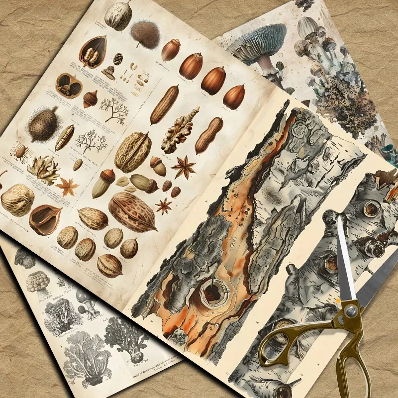 New Vintage Material Papers DIY Ledger Scrapbooking Material Elegant and Noble Diary Decoration Tailor Stickers Card Craft Work view 4