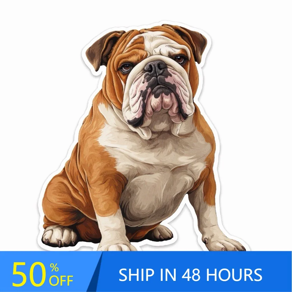 

English BullDog Peeking Paws Cool Car Walls Bumper Laptop Accessory Cute Trendy Retro