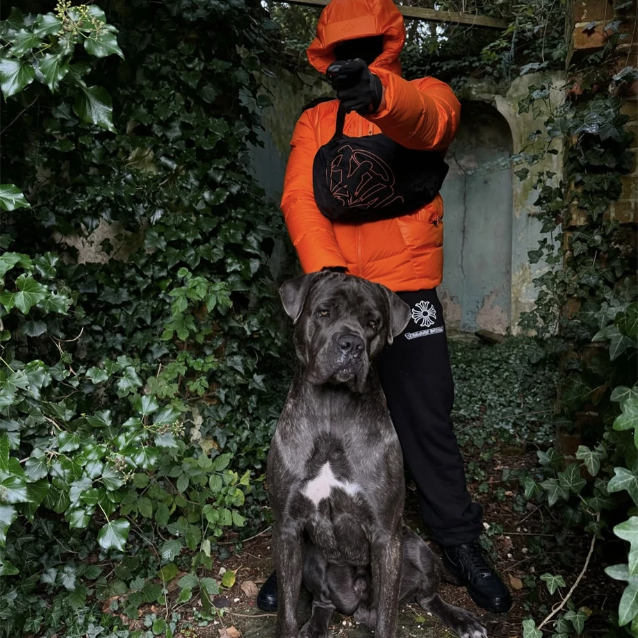 

Высококачественное повседневное модное пуховое пальто с капюшоном, зимнее новое поступление, теплое женское пальто с волнистым узором, универсальная верхняя одежда Sli