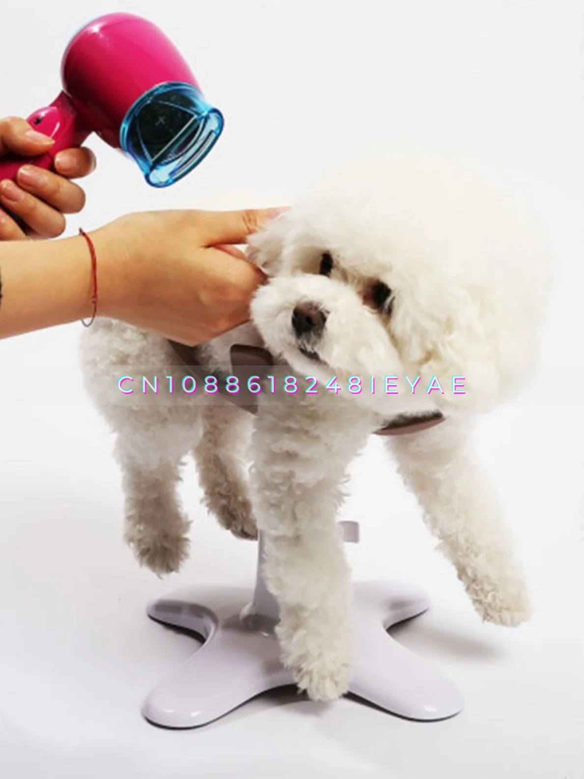 Pet Bath Fixer Pest Grooming Fixing Table  Dogs Accessoires  Dog Grooming Poodle Bichon Frise Pomeranian Puppy Accessoires