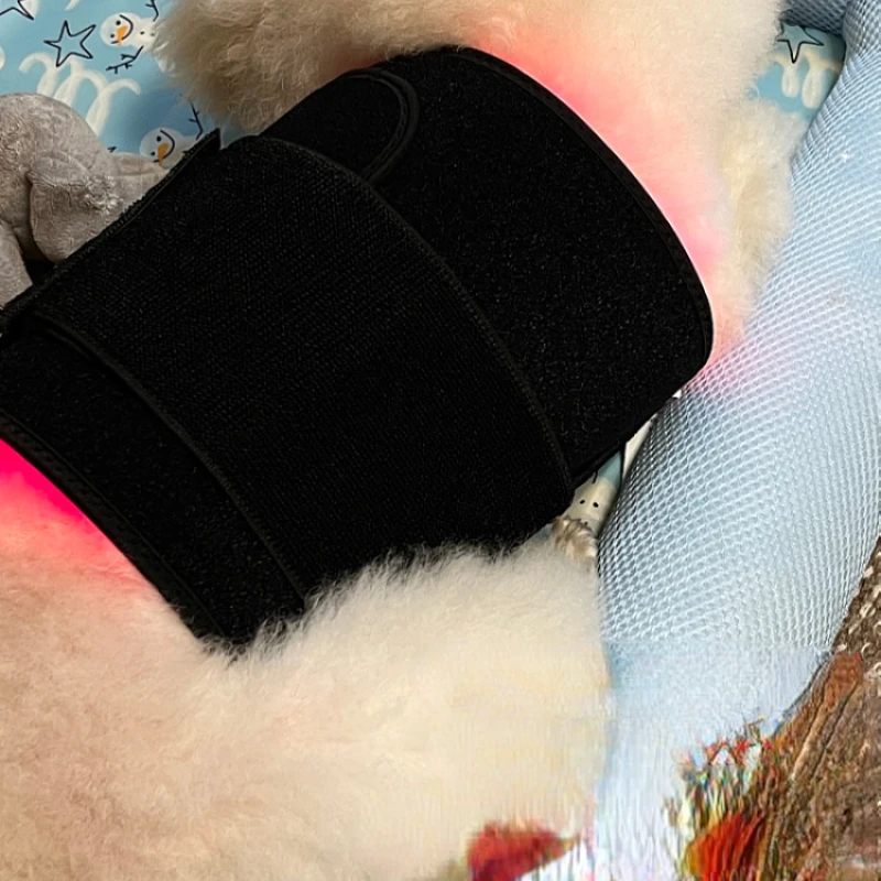 Pet infrared red light therapy for waist belt, bone spurs, patellar fractures, lumbar vertebrae, hip joints, cervical vertebrae,