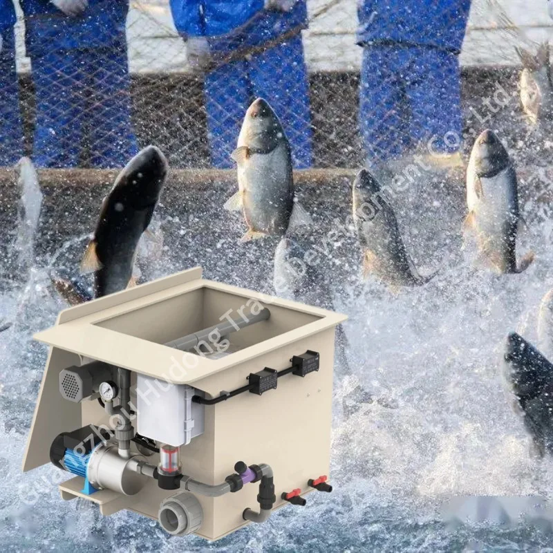 

Барабанный фильтр Система фильтрации пруда Аквакультура Пруд кои Рыболовные принадлежности Аквакультура Автоматическая система циркуляции воды промышленного класса