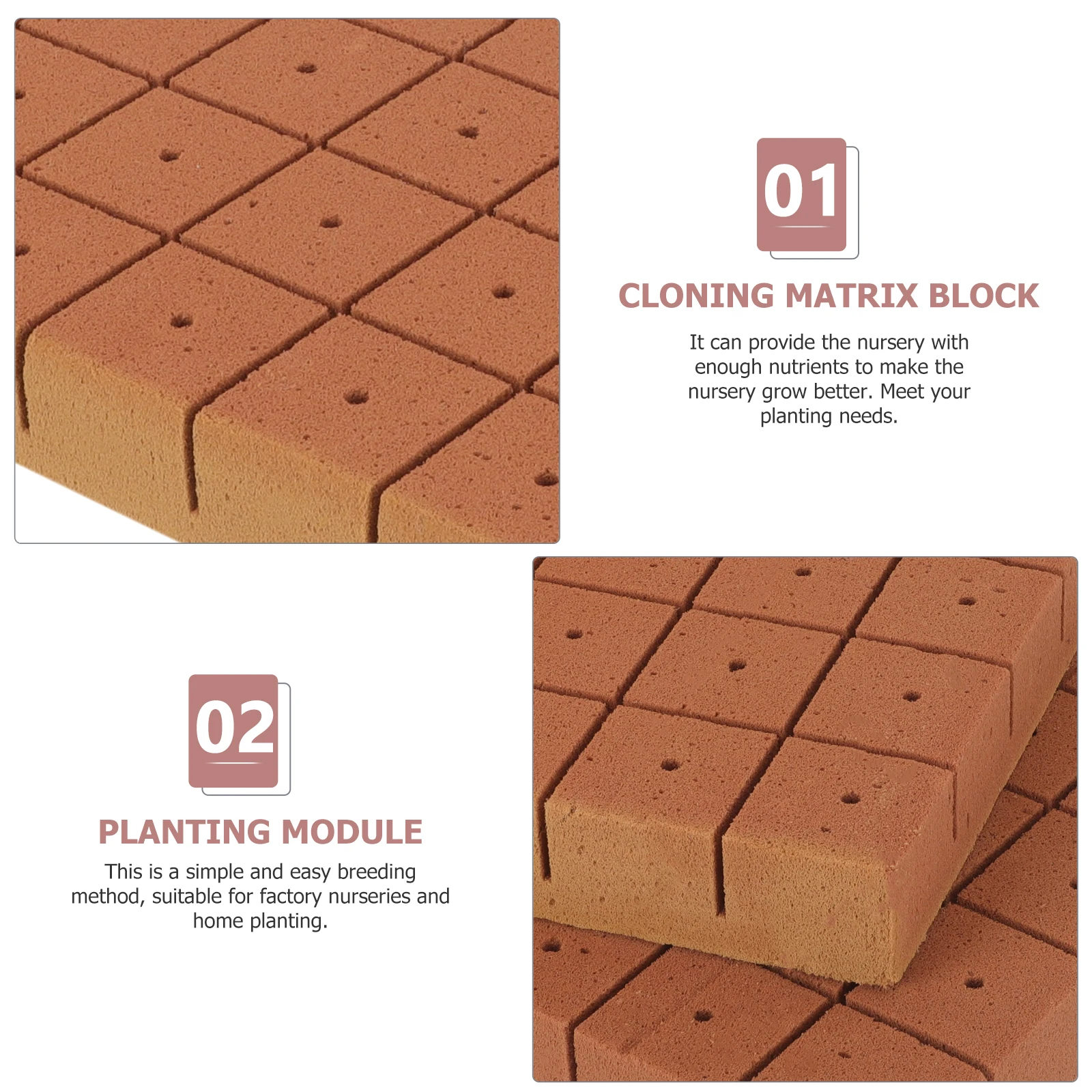 

50pcs Cutting Matrix Block Nutrient Soilless Garden Cultivation Nursery Blocks Plant Germination Block for Indoor Plants