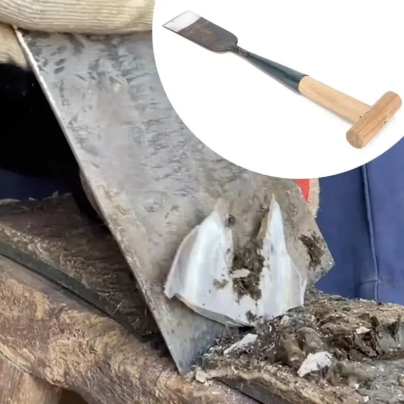 Rifilatura pala per zoccoli versatili strumenti per tagliare lo zoccolo Trimmer a ferro di cavallo comoda impugnatura pala a ferro di cavallo pala a ferro di cavallo per