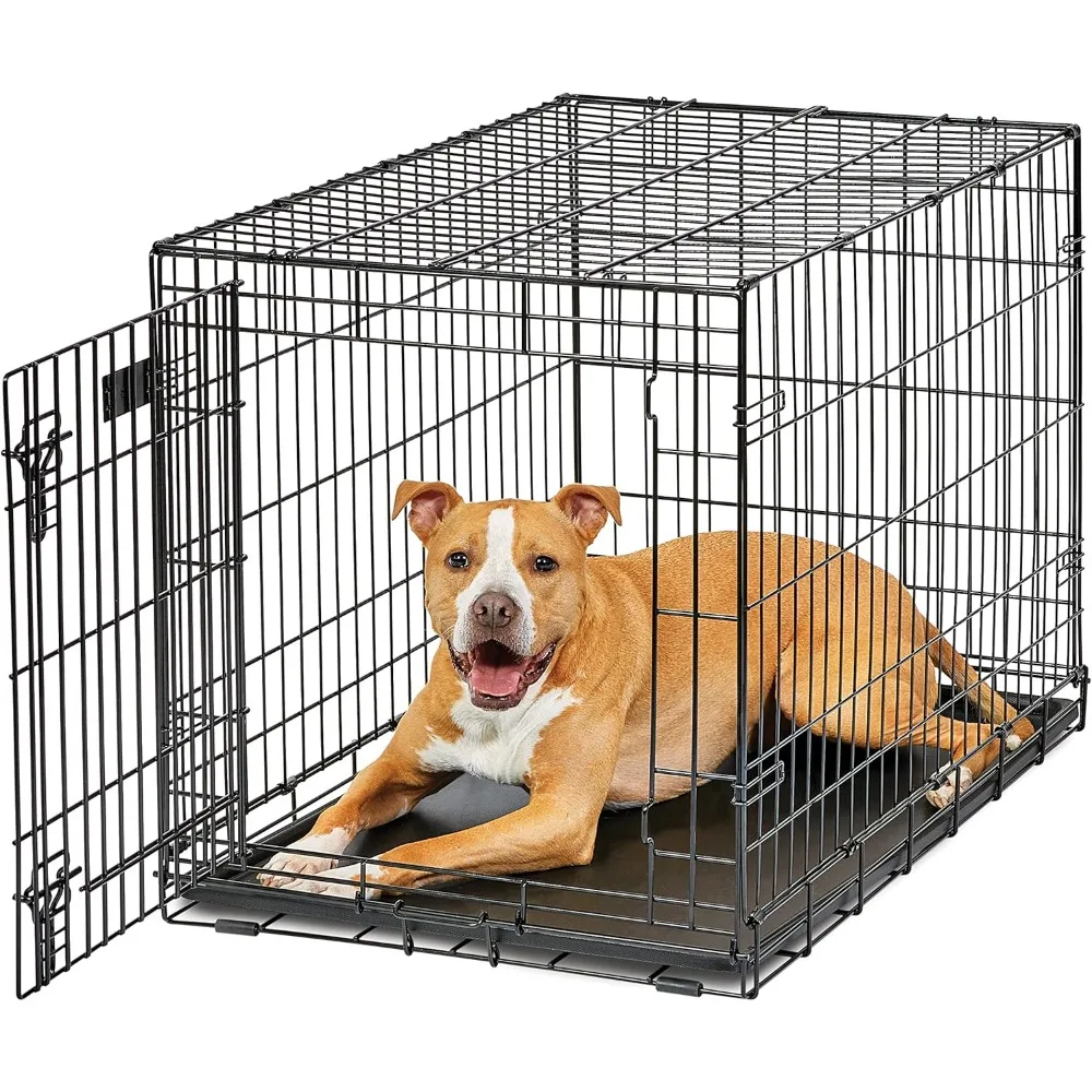 

Intermediate LifeStages Single Door 36-Inch Folding Dog Crate, Enhanced Security, Includes Leak-Proof Pan, Divider Panel, Handl