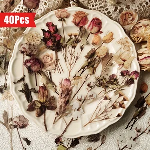 8 최고의 판매 ephemera 스크랩북 - №6