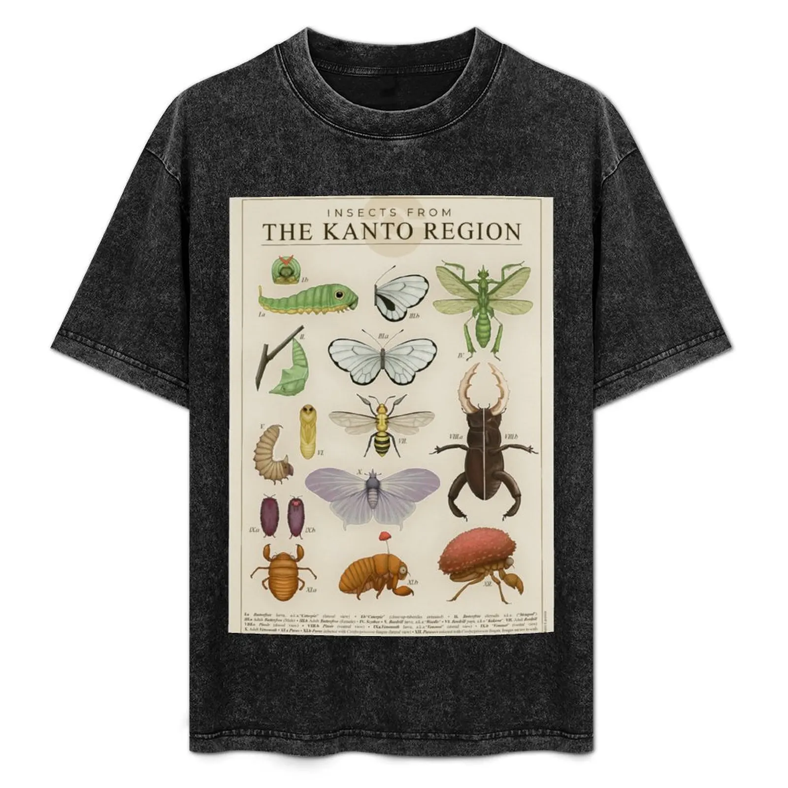 Insects from the Kanto Region T-Shirt customs design your own vintage t shirts plus sizes oversized graphic tee mens t shirts