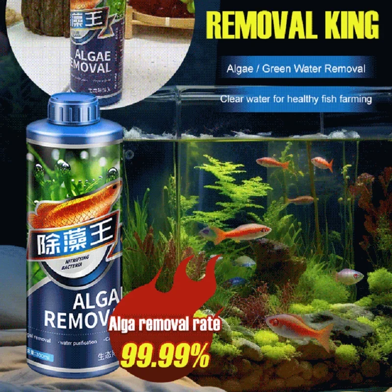 Algae Remover Fish Tank Water Grass Aquarium Green Aquatic Weed Moss  brown algae green algae aquatic plants and fish tanks