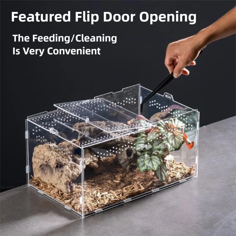 New Acrylic Reptile Habitat Anti-Escape Multiple Size Spider Feeding Case Arboreal Clear Lizard Breeding Box for Scorpion