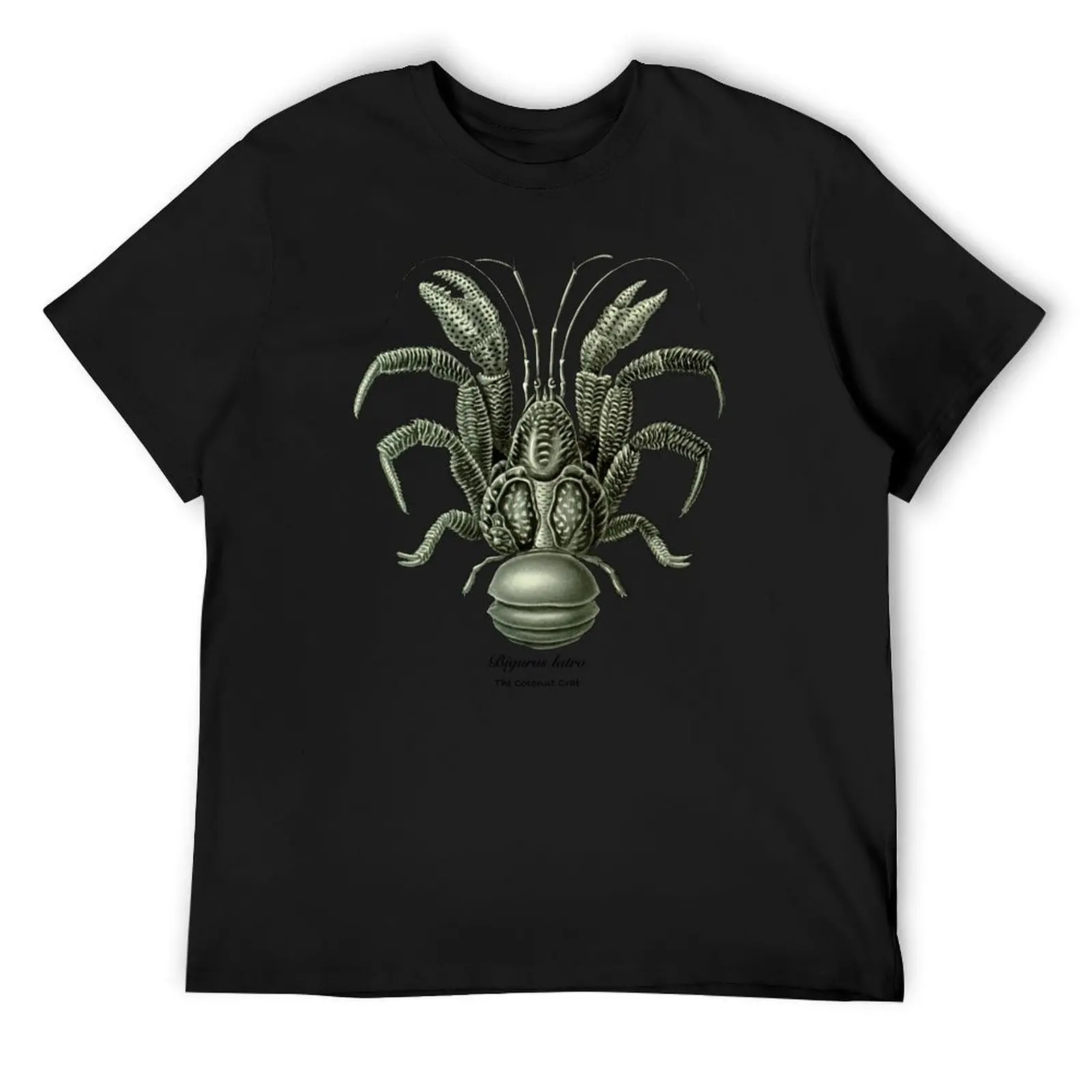 The coconut crab, Birgus latro. T-Shirt tops sweat anime shirts men