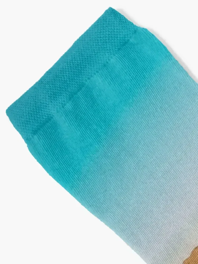 The Great Salt Lake Socks compression winter thermal Stockings cycling Socks Girl Men's