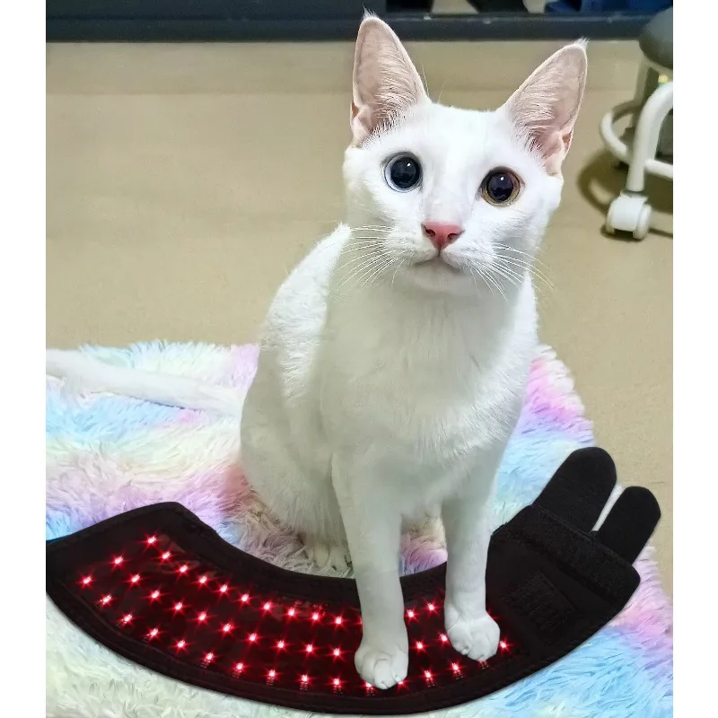 Infrared Light Therapy Apparatus Veterinary Therapeutic Equipment for Cats and Dogs for Veterinarians Animal Care and Supplies