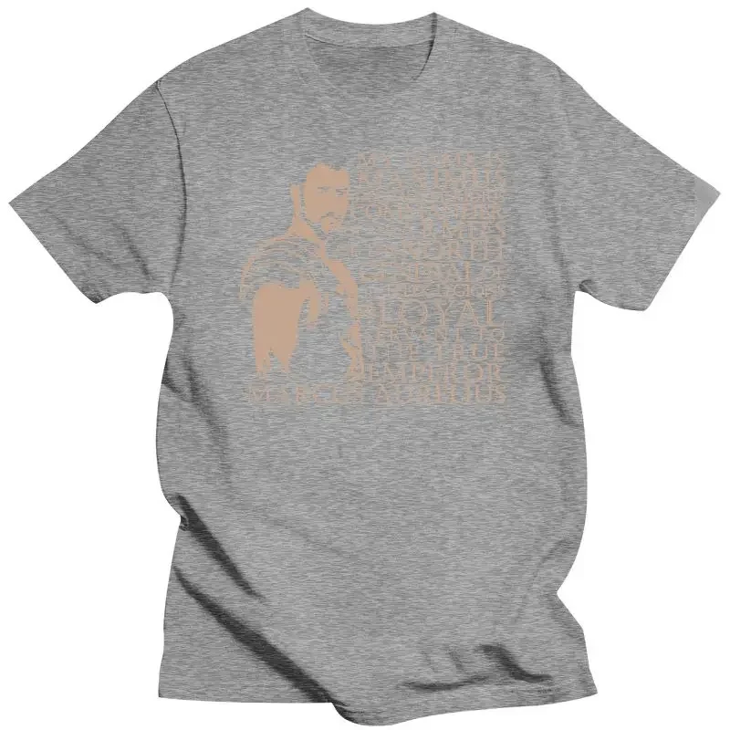 Maximus Decimus Meridius Gladiator 2000S Action Movie Peplum Graphix Funny Gift For Men Women Mens Clothing Unisex t shirts