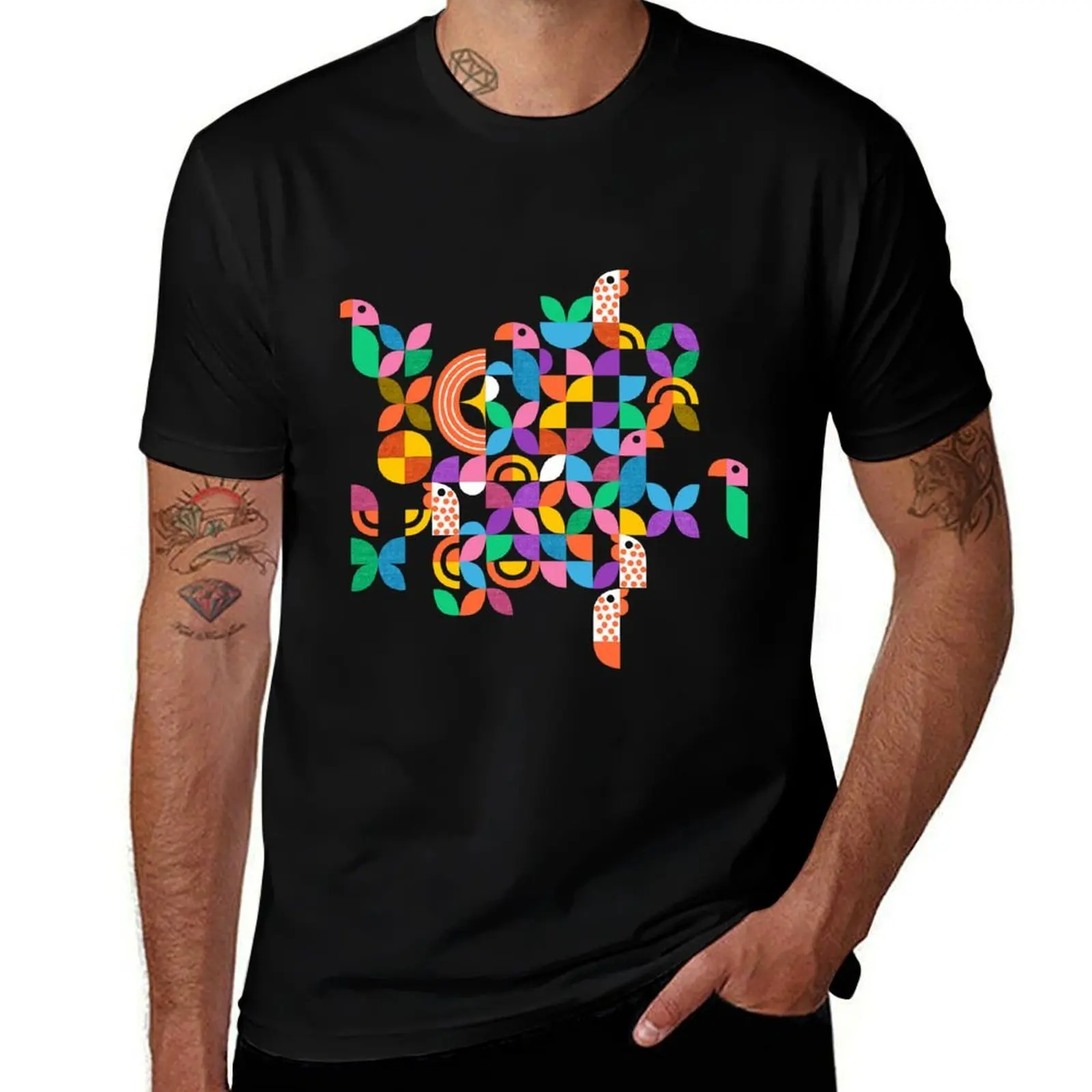 Geometry in Nature- Find the Avians T-Shirt Simple Solid Color Crew Neck Tee T-Shirt