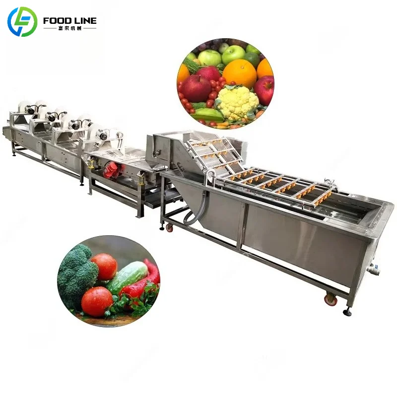Machine à laver les fruits et légumes personnalisée à haute efficacité avec système de pulvérisation à bulles – Appareil commercial