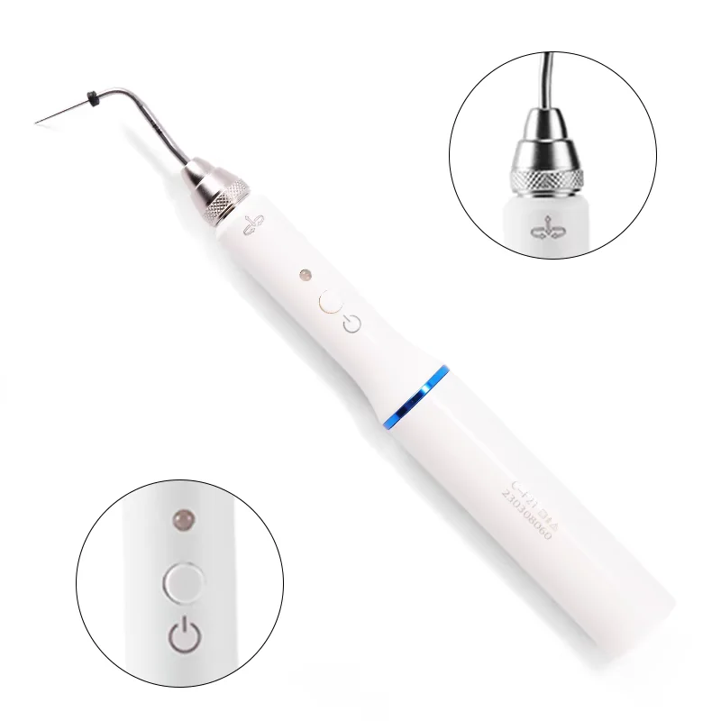 Dental Gutta Percha Obturation System Endo Heated Pen Cordless Wireless with 2Tips Hot Melt Filling Dentist Equipments