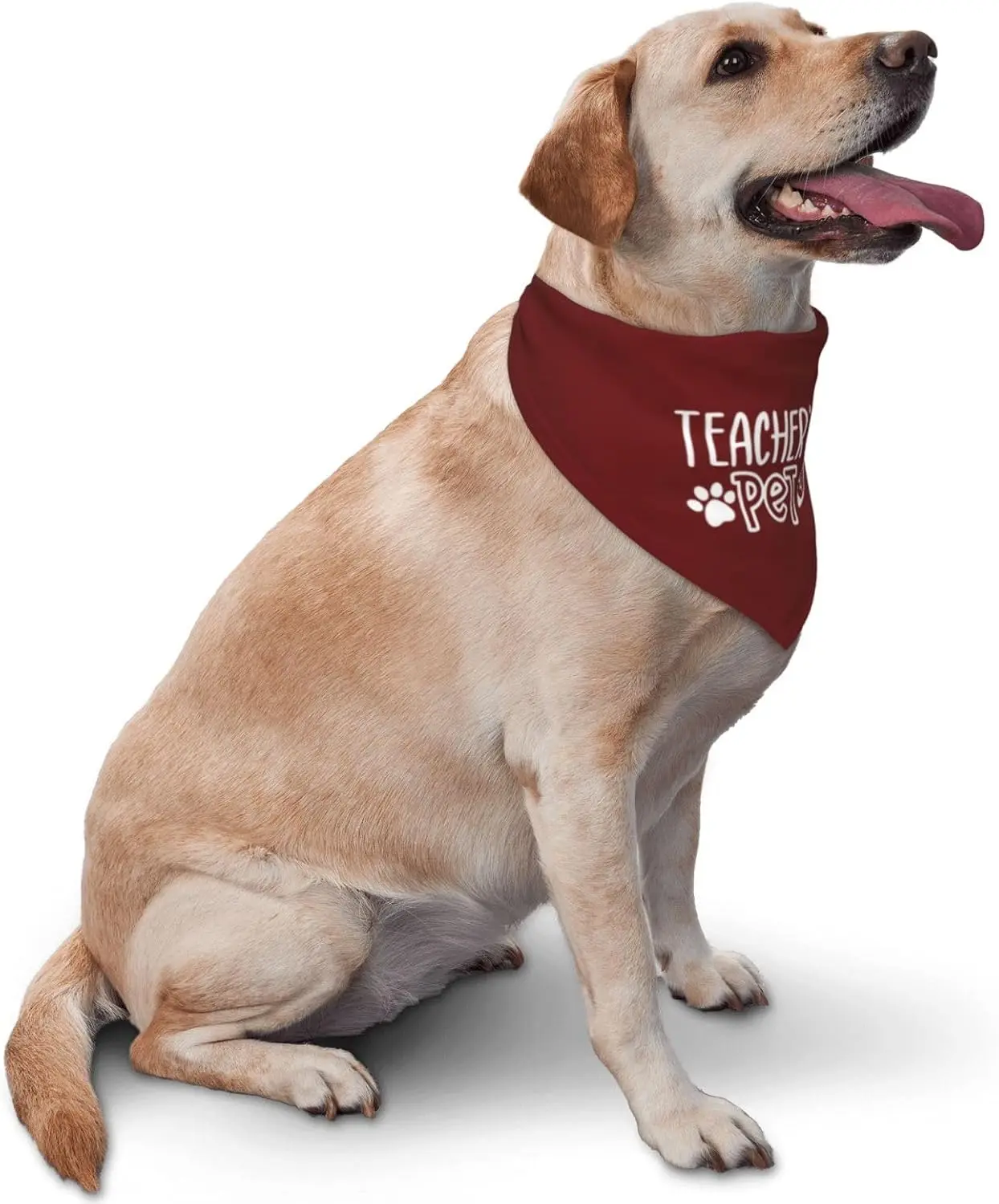 Teacher's Pet Dog Bandana,Funny Bandana Gift,Photo Prop Accessories for Dog Lovers Owner Gift,Triangle Reversible Fall Scarf