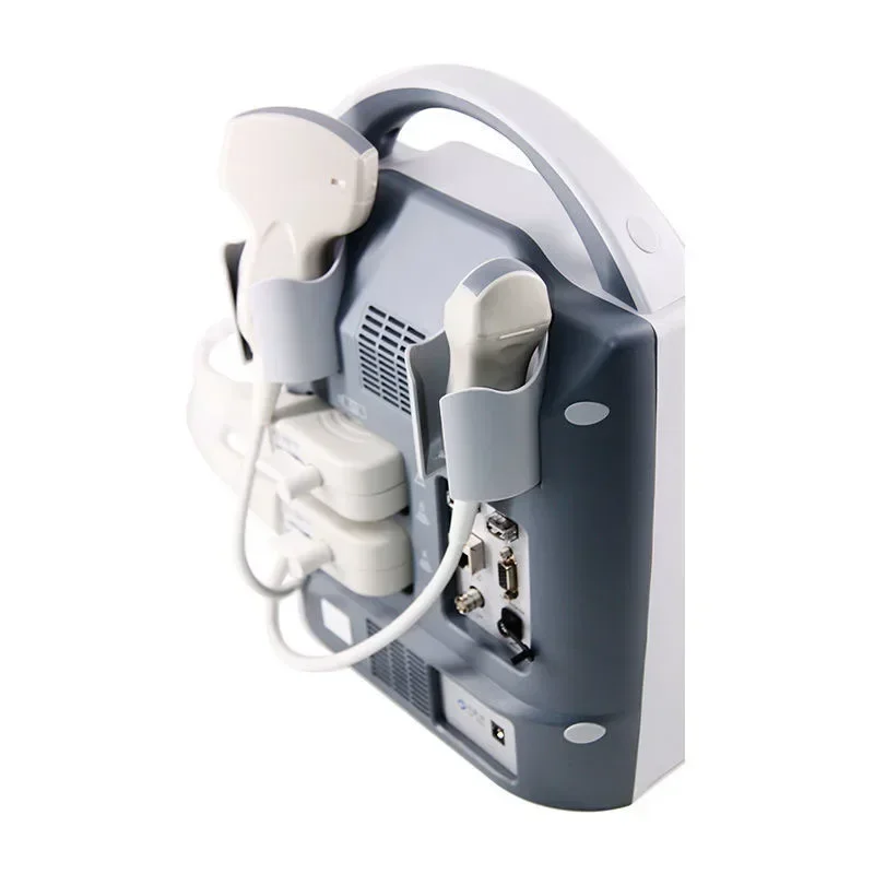 Hot SalesDog Cat Pregnancy Testing Machine LED Screen Laptop Veterinary Ultrasound Scanner Disease Scanner Professional Level