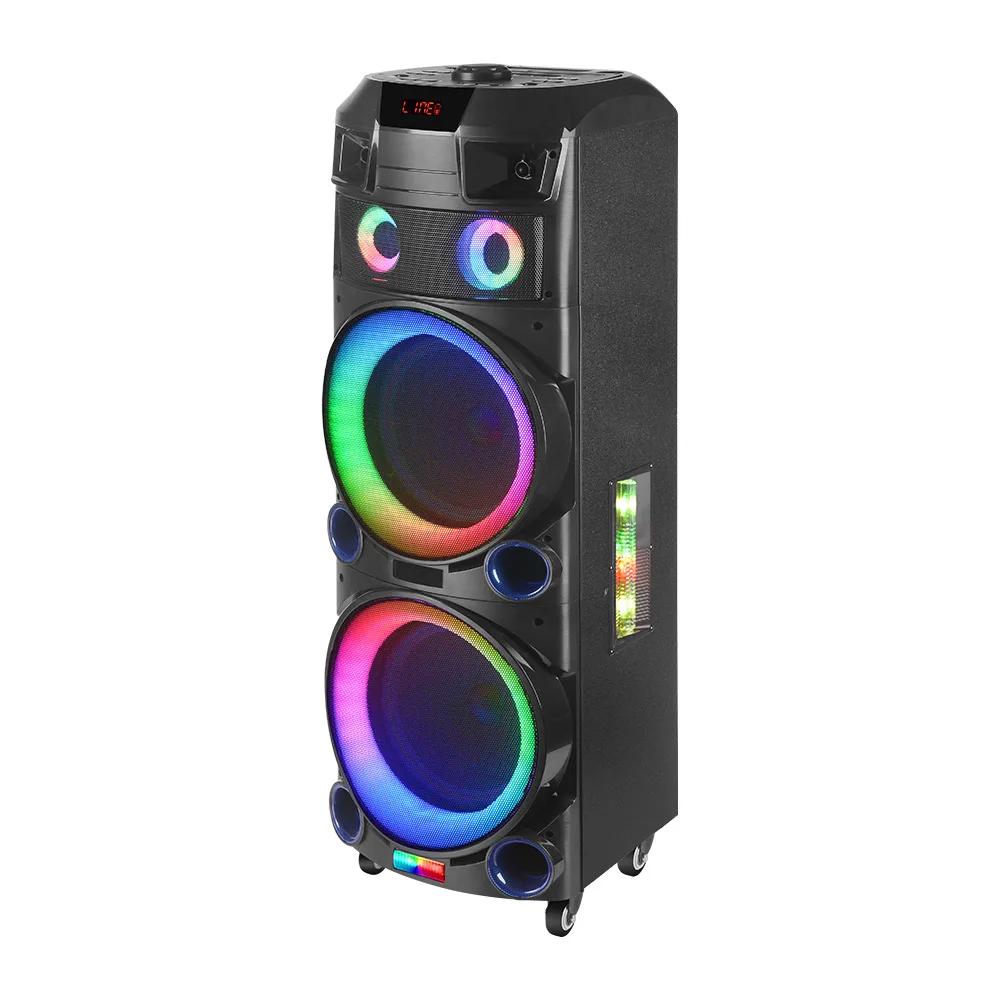 Ningda Electronic Audio Factory's 80W High Power Double 10\" Wood Plastic Audio Subwoofer RGB LED Mini Stage Battery