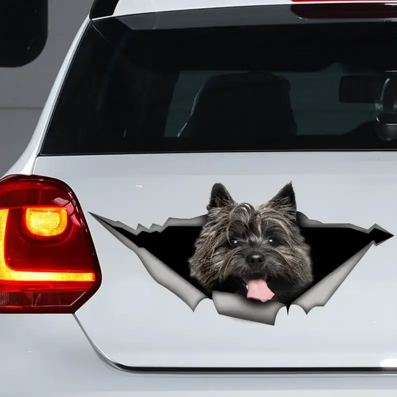 Dark Cairn Terrier Car Decals Vinyl Decals Car Decor Pet Decals Dog Stickers Car Fun Accessories DIY Stickers Animal Decal