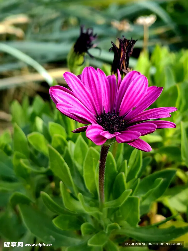 

RS RC 120mm Metal 1.9" Beadlock Wheel Rim Rubber Tire Set for 1/10 RC Crawler Car Trxs TRX4 RC4WD D90 Axial SCX10 II III MST