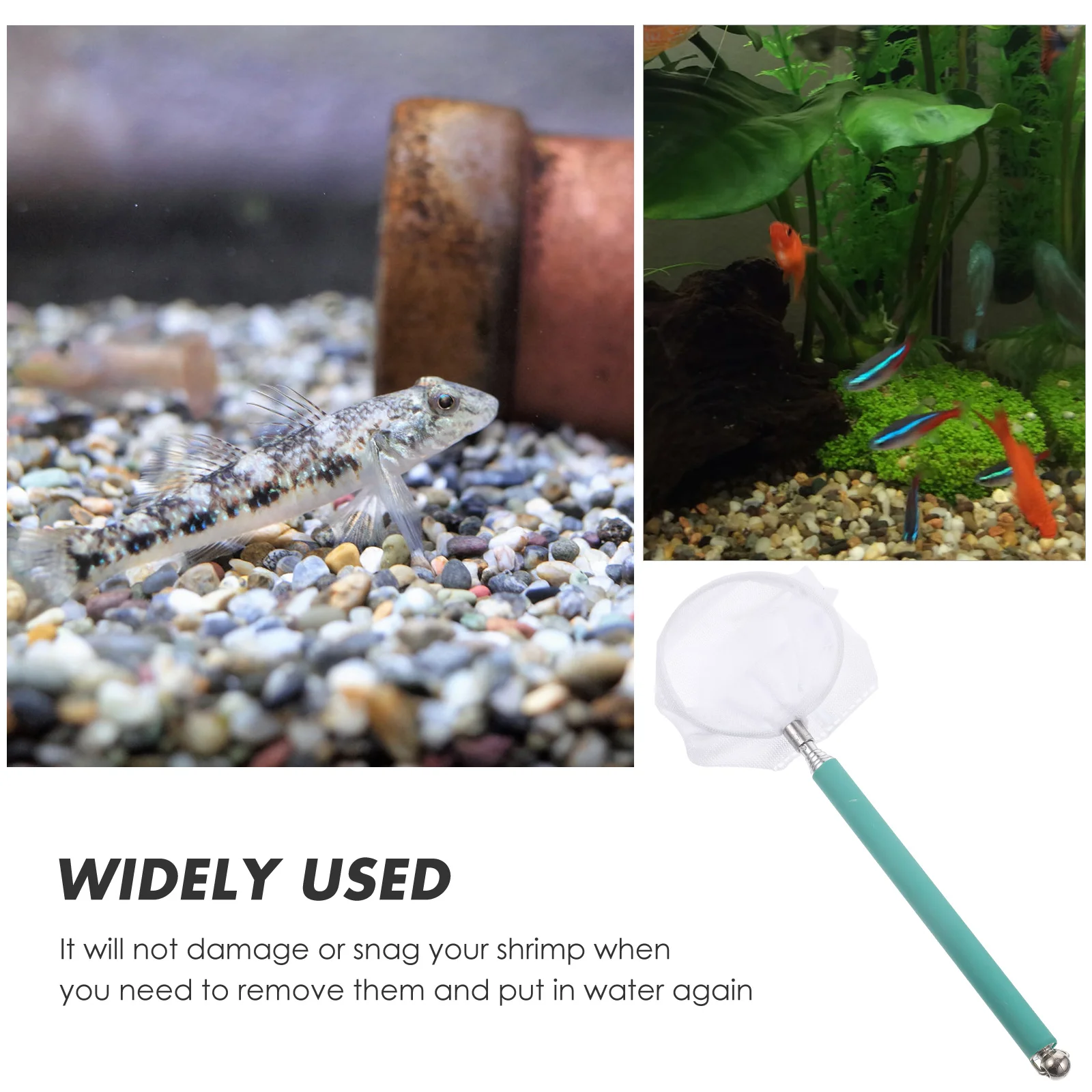 

Telescopic Shrimp Net Practical Fishing Tool Collapsible Durable Stainless Steel H Extend Simple Use Secure Attachment