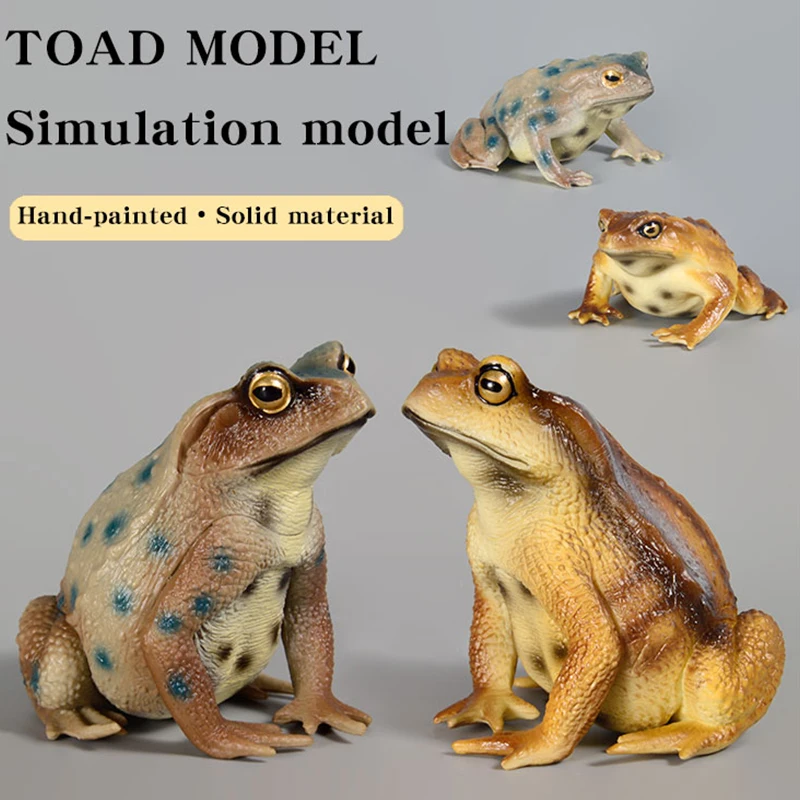 Figura educativa realista de rana y sapo, figura de insectos de animales salvajes pintada a mano, modelo de Animal de goma, juguete para niños