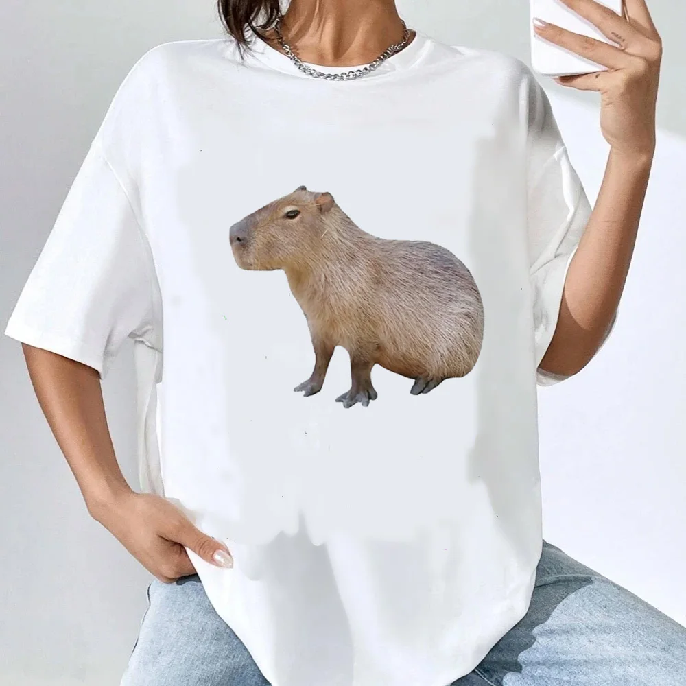 capibara