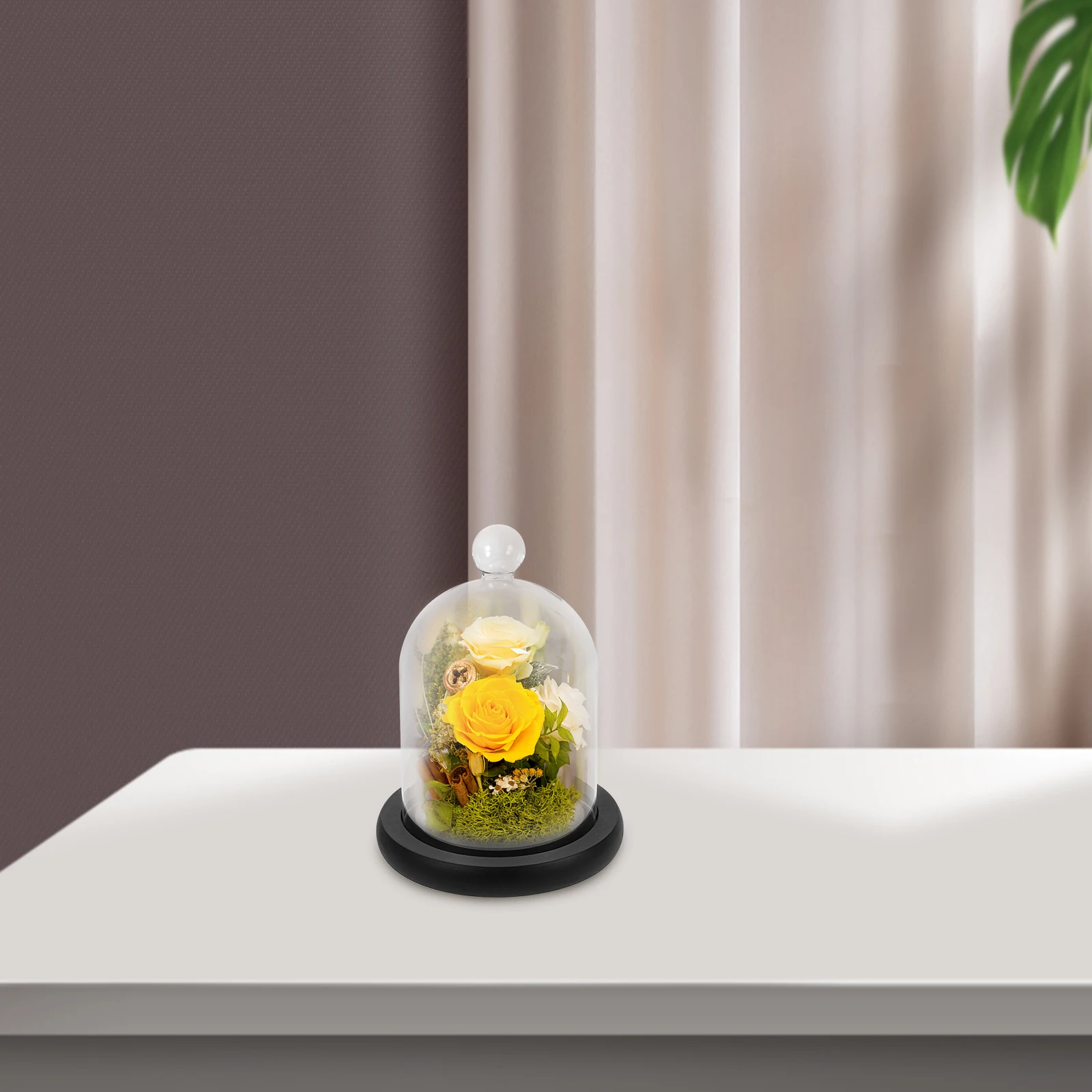 

Preserved Flower Micro Landscape Decorative For Cake Dessert Display Sturdy Wood Base Home Wedding Gift Glass Display Cover Food