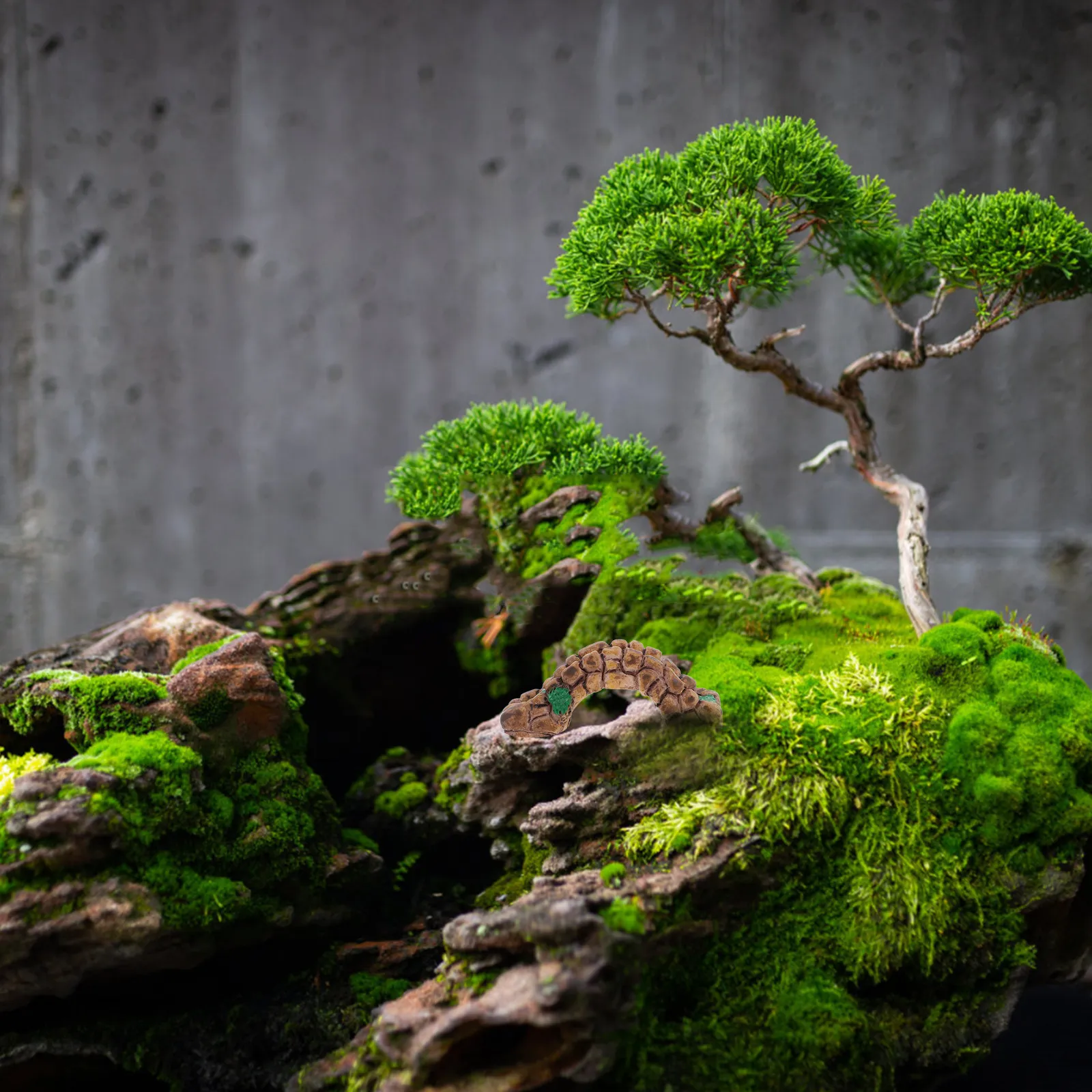 Bonsai Garden With Sand - 6個入り ヴィンテージ マイクロ風景樹脂製オーナメント レトロデスクキャビネット装飾 DIY盆栽庭園 砂テーブル