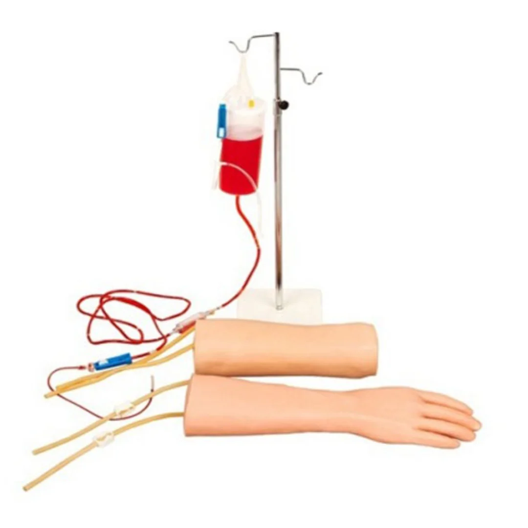 Combined Intravenous Infusion (Blood) Hand and Elbow Model Medical Science Training Simulator Practice Aids for Hospital Medicin