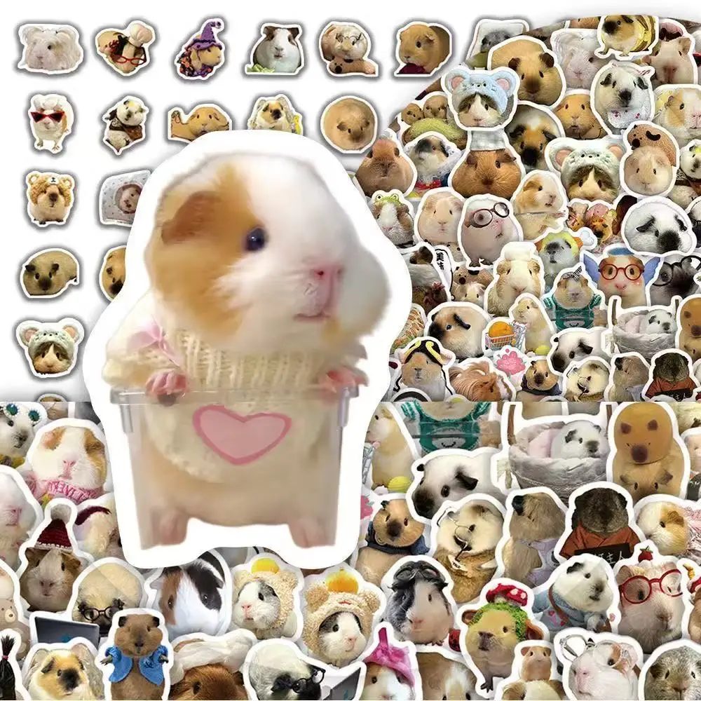 50 ملصقًا لبطاقة، إيموجيس القطط الشهير على الإنترنت، ملصقات جرافيتي، ستائر يدوية لطيفة ومضحكة ومضحكة عبر الحدود #3