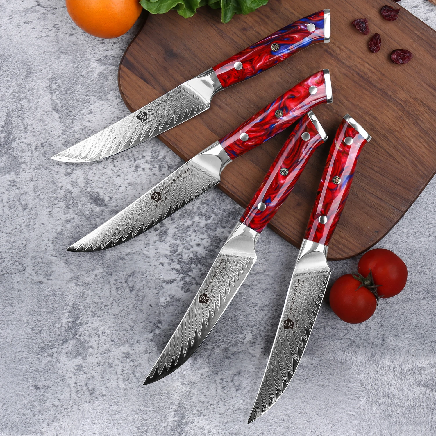 WILDMOK Steak Knives, 5' Non Serrated Steak Knife Set of 4, Japanese Damascus VG10 Steel Steak Knives, Full Tang Resin Handle