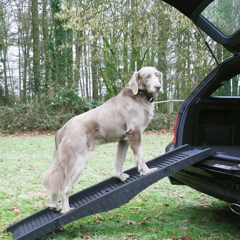 منحدر حيوانات أليفة قابل للطي، سلالم بسيطة للكلاب، سفر للحيوانات الأليفة على السيارة، يساعد على تسلق الكلاب المعوقين أثناء السفر