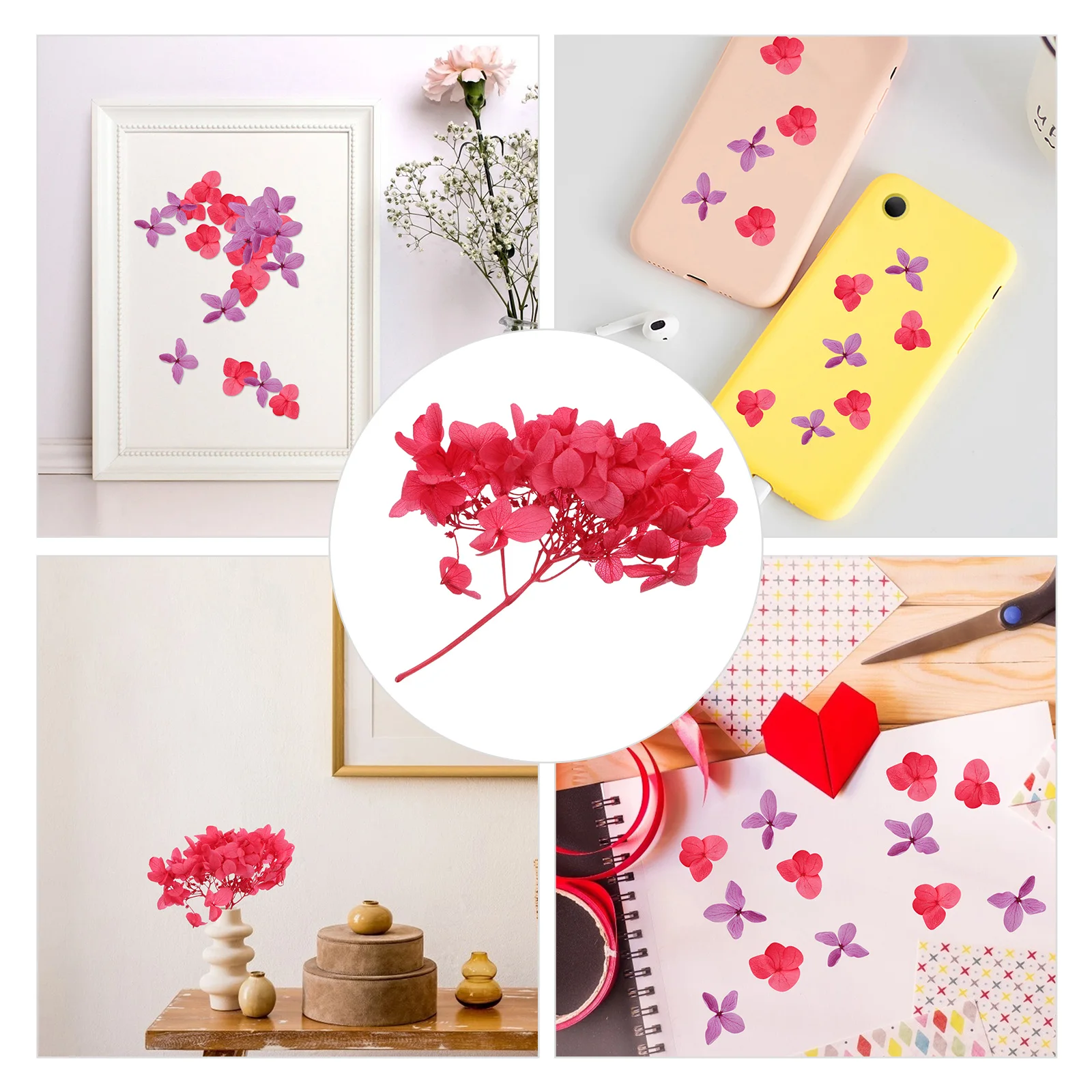 

1 Box Natural Immortal Hydrangea Dried Flower Diy Craft Decorative Material Home Party Decoration Handmade Bookmark Specimen