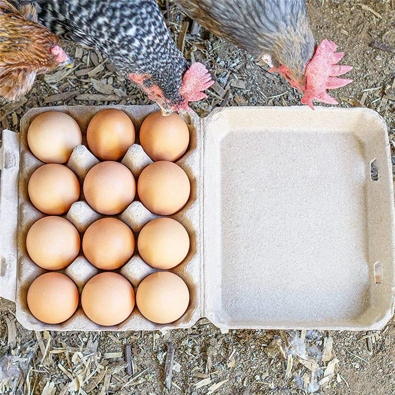 Caixas de ovos estilo PB-Classic 3X4 - comporta 12 ovos, material ecológico (30 unidades)