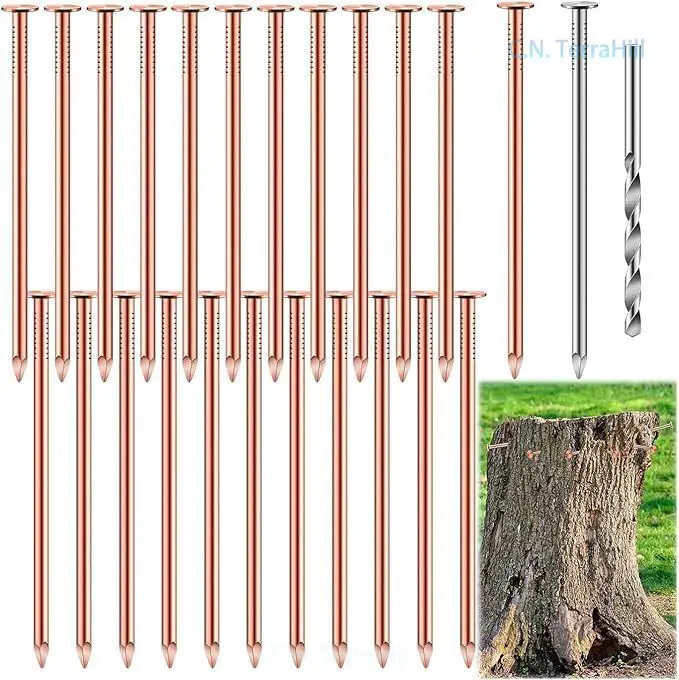 Copper Tree Stump Removal Nails, Fast Kill Stump Killer Spike for Stump Decomposition