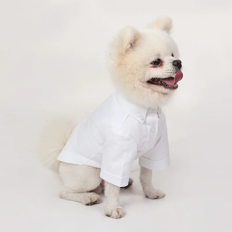 Spring and Autumn Pet Bottoming Shirts Versatile Slim Dog Clothes Boutique Pet Trendy Clothes