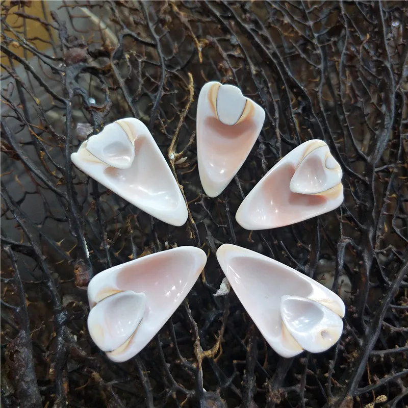 Natural Conch Shell Slices, DIY Jewelry Components & Aquarium Decorations, Sold by Kilogram