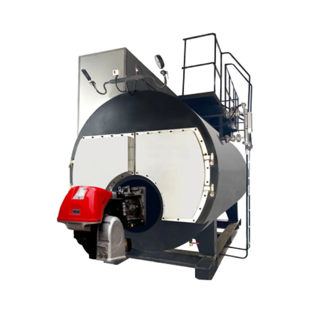 WNS Gas Heater Wall Hung Low Pressure Industrial Horizontal Steam 2 Heat Exchangers 20KW 24KW Combi Mini Boiler A-Class Easy