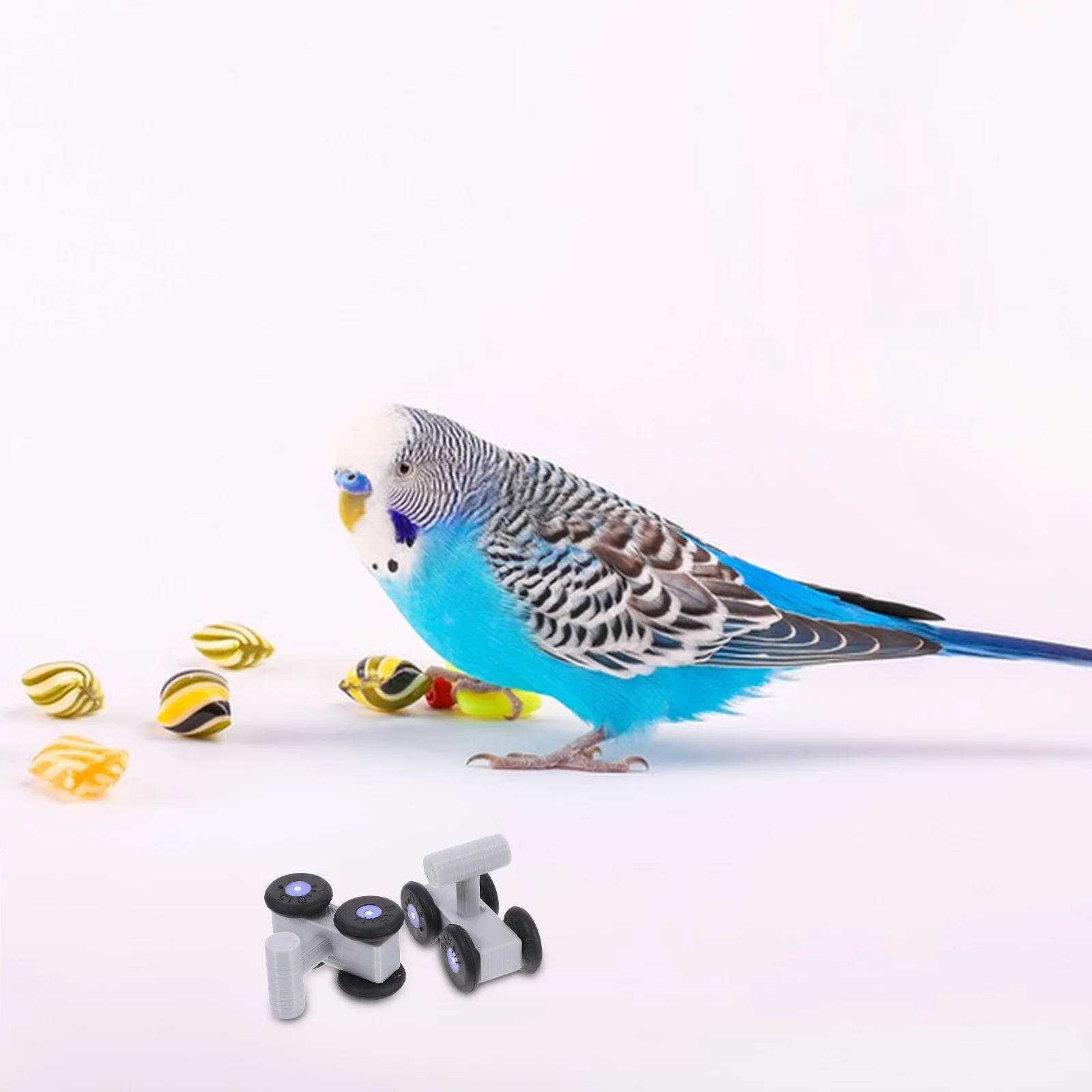 

10 PCS Parrot Roller Skates Training Toy Interactive Bird Playset for Conures Cockatiel Budgie Accessories Bird Toys