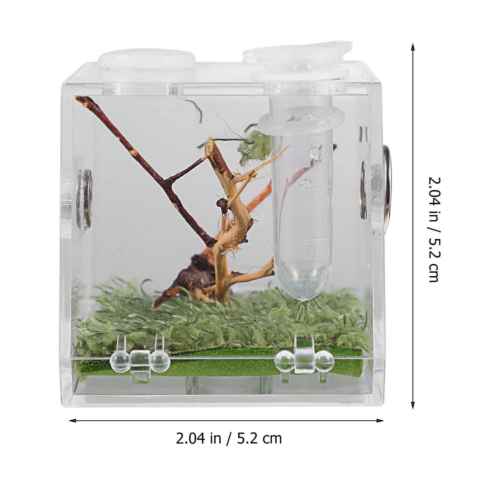 Jumping Spider Breeding Box Reptile Terrarium Cage Case Animal Tool Supply Acrylic Baby Humidifier Pet