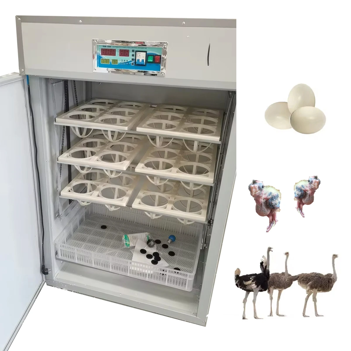 

36 Ostrich Egg Incubator Electric Digital Controlled In China Automatic Egg Turning