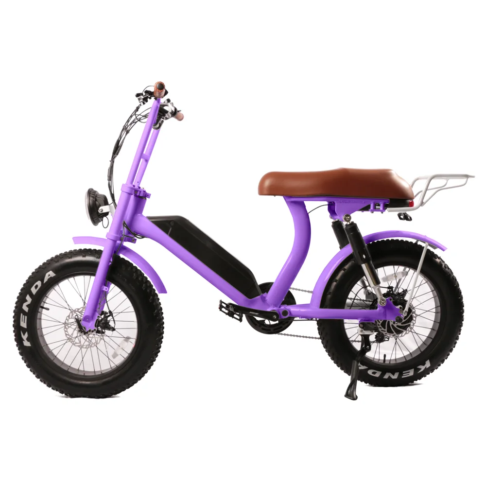 2025 New 20 Inch High Quality Fatbike CE Approved Ebike Electric Bike 48V 500W Rear Hub Motor Electric Bikes for Adults